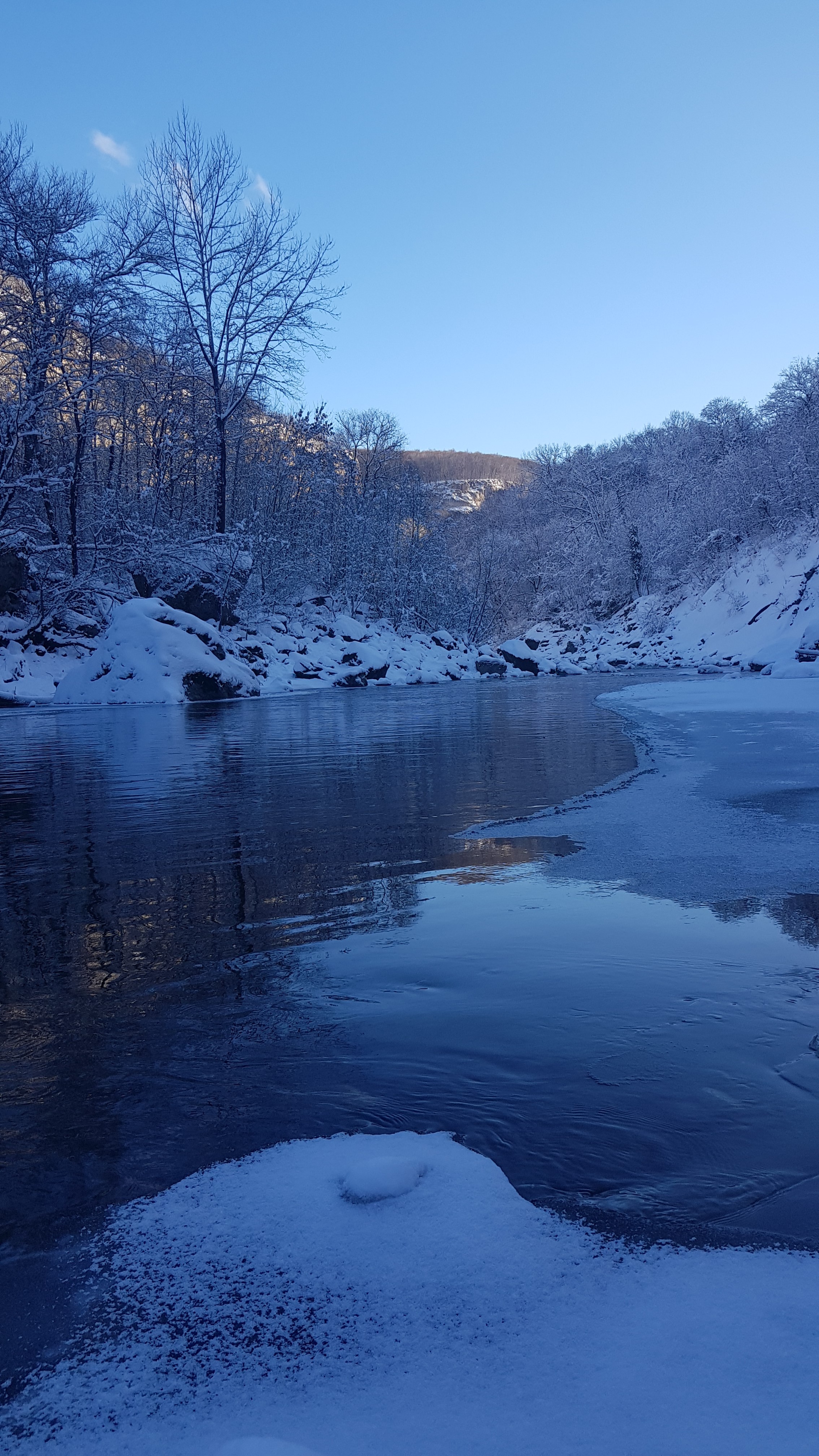 Портрет человека