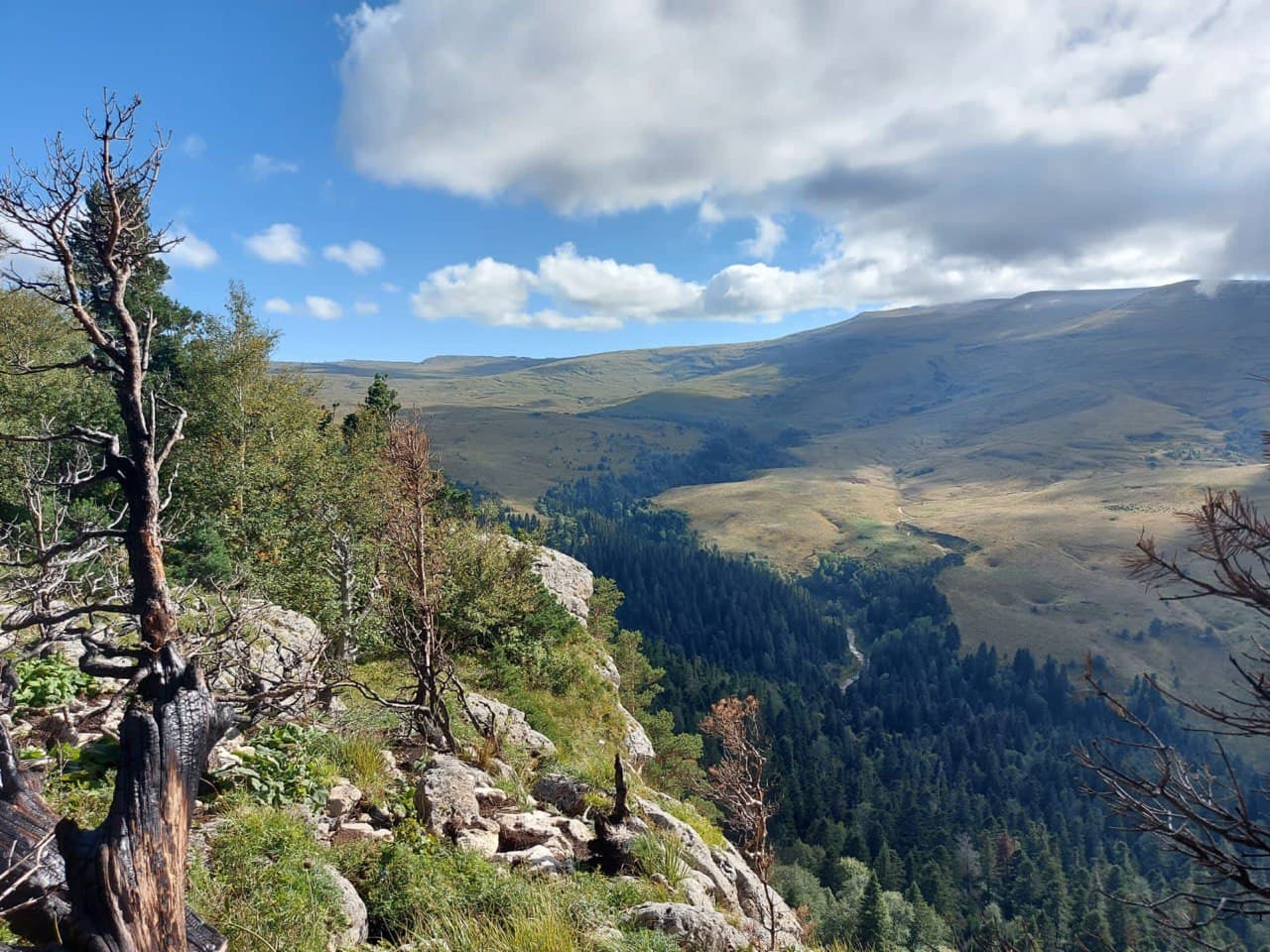 Портрет человека