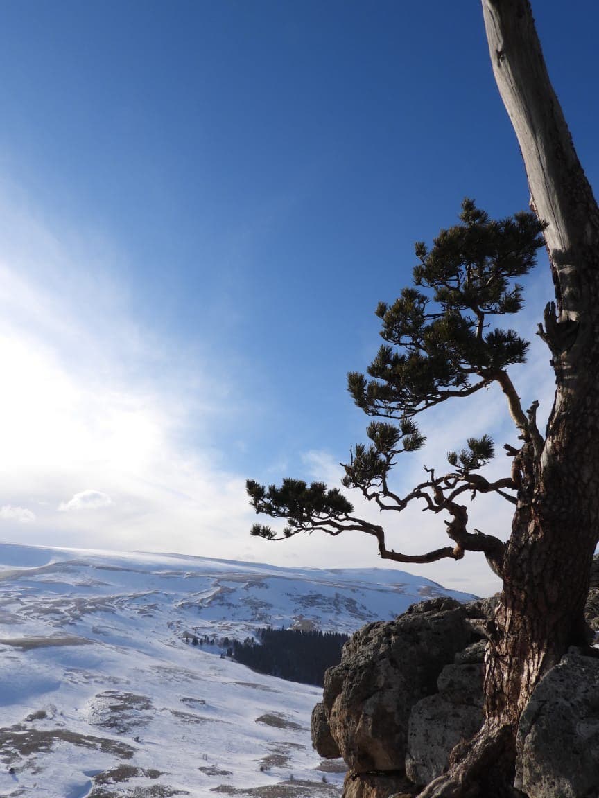 Портрет человека
