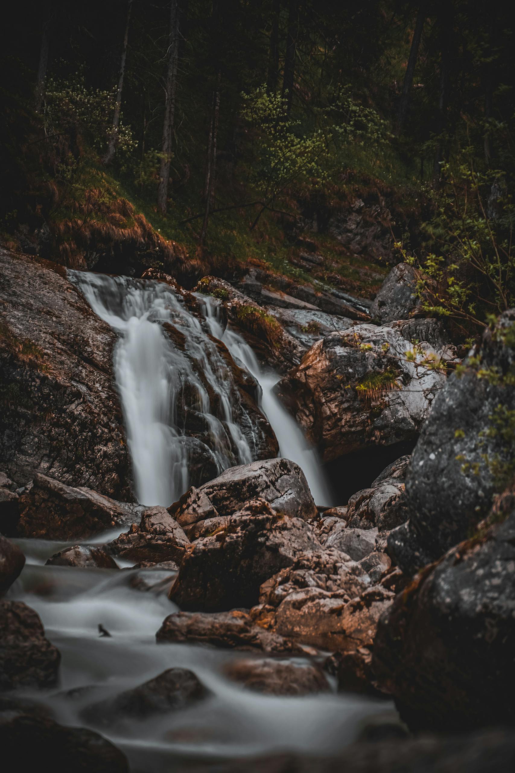 Портрет человека
